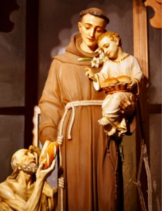 13_days_st_anthony_5