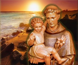 13_days_st_anthony_6