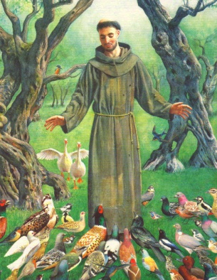 st_francis