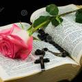 bible-and-rose