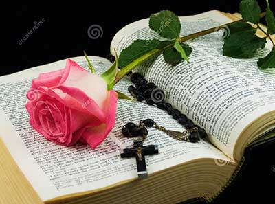 bible-and-rose