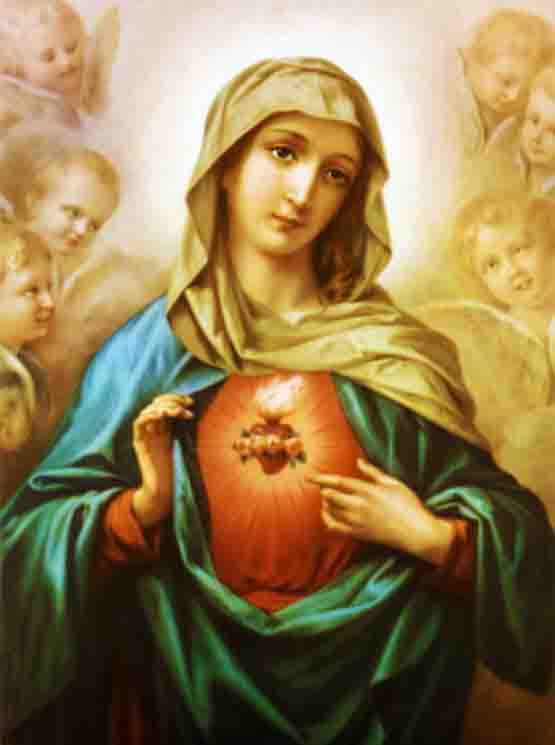 Sacred Heart of Mary