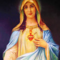 immaculate heart of virgin mary