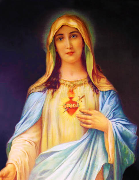 immaculate heart of virgin mary